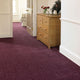 Stainfree Majesty Carpet