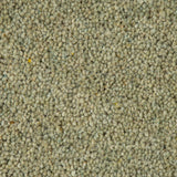 Meadow Light Woodland Heather 55oz Twist Deluxe Carpet by Cormar