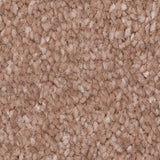 Mellow Mocha 34 Promenade Carpet Clearance