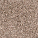Mink 314 Easy Living Carpet
