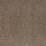 Mizona 45 Pegasus 70oz Heathers Invictus Carpet