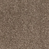 Mizona 45 Pegasus 70oz Heathers Invictus Carpet