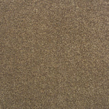 Oyster 303 Monsoon Carpet