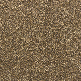 Oyster 303 Monsoon Carpet