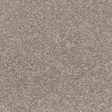 Morning Coffee Primo Ultra Carpet Clearance by Cormar