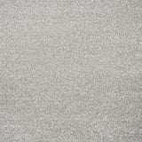 Morning Light 09 Promenade FusionBac Carpet