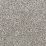Natural Linen 745 Moorland Twist Action Backed Carpet