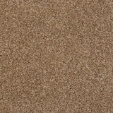 Nova 40 Pegasus 70oz Heathers Invictus Carpet