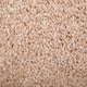 Oak 731 Satisfaction Regency Carpet