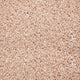 Satisfaction Regency Carpet
