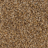 Okra 38 Pegasus 70oz Heathers Invictus Carpet