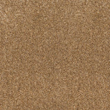 Okra 38 Pegasus 70oz Heathers Invictus Carpet