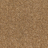 Okra 38 Pegasus 70oz Heathers Invictus Carpet