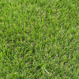 Palmbank 35mm PU Backed Artificial Grass 5m