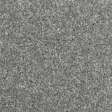 Pewter 999 Pampas Saxony Carpet