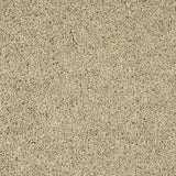 Papyrus Woodland Heather 55oz Twist Deluxe Carpet by Cormar