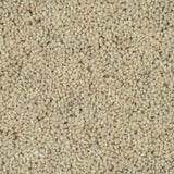 Papyrus Woodland Heather 55oz Twist Deluxe Carpet by Cormar