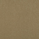 Parchment 92 Ultimate Twist Intenza Carpet
