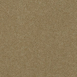 Parchment 92 Ultimate Twist Intenza Carpet