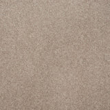 Parma 835 Elgin Twist Carpet