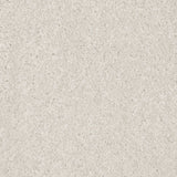 Pearl 170 Barello Plains Intenza Carpet