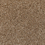 Acacia 34 Perseus 50oz Invictus Carpet