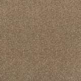 Acacia 34 Perseus 50oz Invictus Carpet