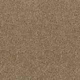 Acacia 34 Perseus 50oz Invictus Carpet