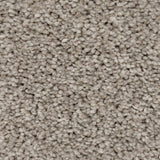 Duante 94 Perseus 50oz Invictus Carpet