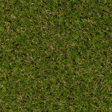 Perth Artificial Grass
