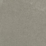 Pewter 76 Ultimate Twist Intenza Carpet