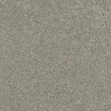 Pewter 76 Ultimate Twist Intenza Carpet