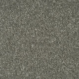 Pewter Grey Missouri Saxony Carpet