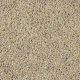 Pine Nut Woodland Heather 55oz Twist Deluxe Carpet by Cormar