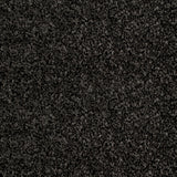 Pirate Black 995 Noble Heathers Saxony Carpet