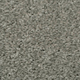Platinum Oregon Saxony Carpet