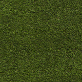 Coachella Artificial Grass