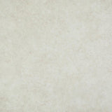 Agrego Off-White Goliath 450 Vinyl Flooring by Tarkett