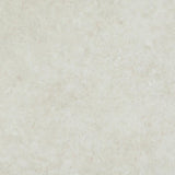 Agrego Off-White Goliath 450 Vinyl Flooring by Tarkett