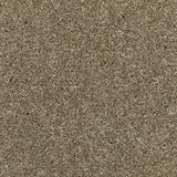 Suede 173 Premium Carpet