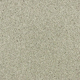 Moonstone 174 Premium Carpet