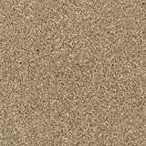 Stone 70 Premium Carpet