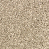 Sandstone 73 Premium Carpet
