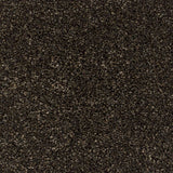 Bark 79 Premium Carpet