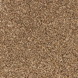 Oak 93 Premium Carpet