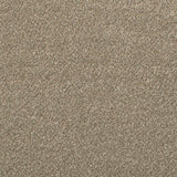 Ivory 71 Revolution Heathers Carpet