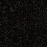 Black 79 Revolution Carpet