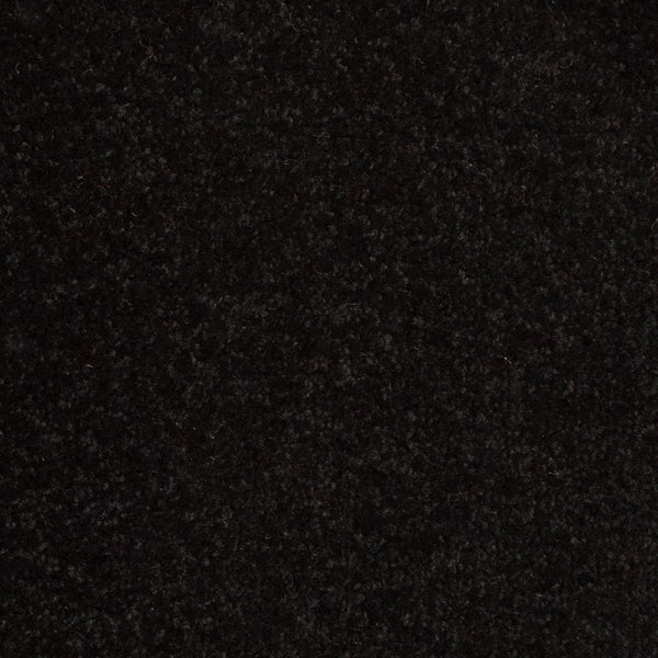 Black 79 Revolution Carpet