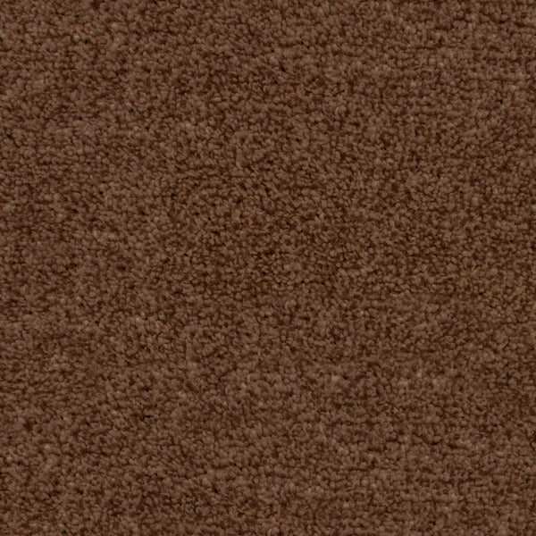 Warm Brown Rio Grande Carpet