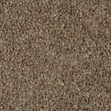 Rushford Rye Woodland Heather 55oz Twist Deluxe Carpet by Cormar